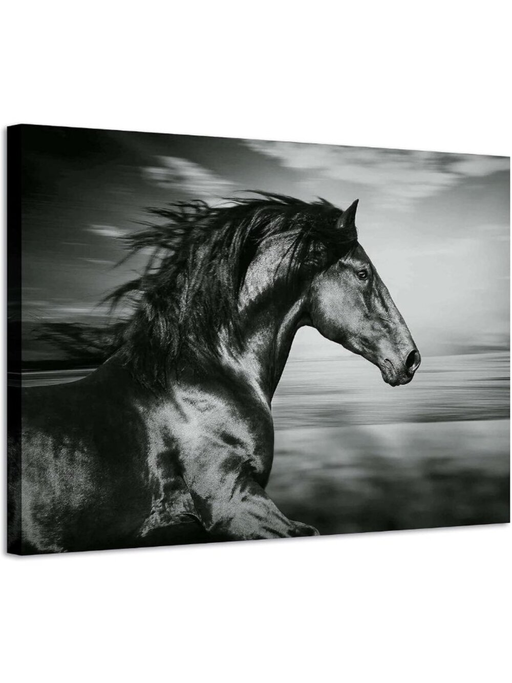 Wild Black Stallion Canvas Art Print - Stunning Horse Wall Decor, Multi-Sized